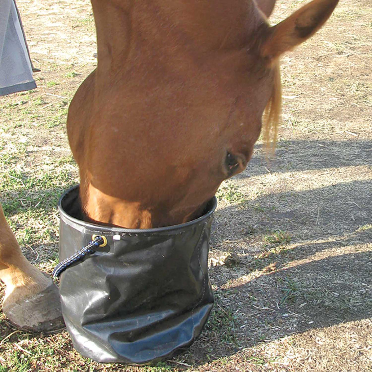 Cashel Collapsible Water Pail