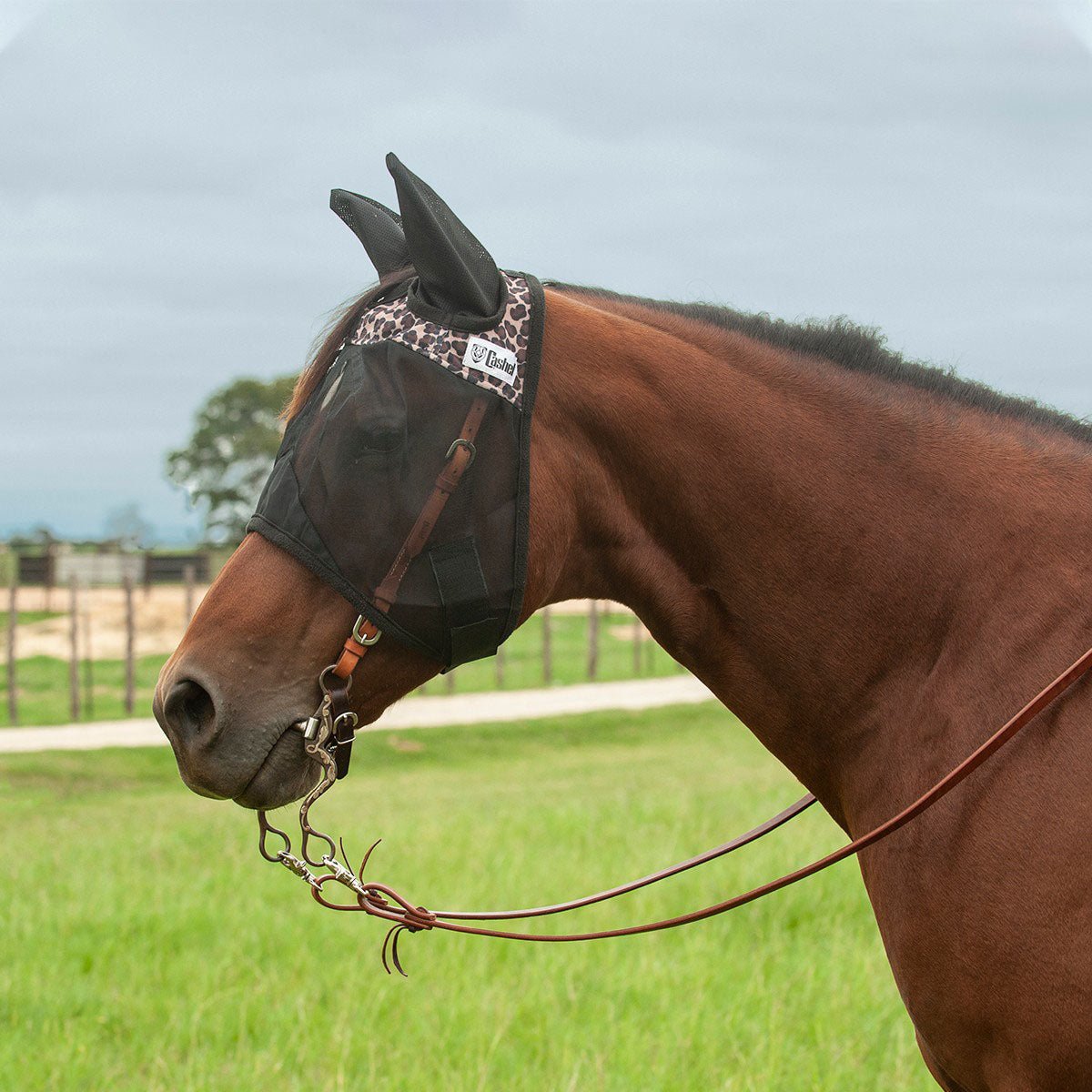 Cashel Quiet Ride Fly Mask with Ears for Horses, Lightweight Riding Protection