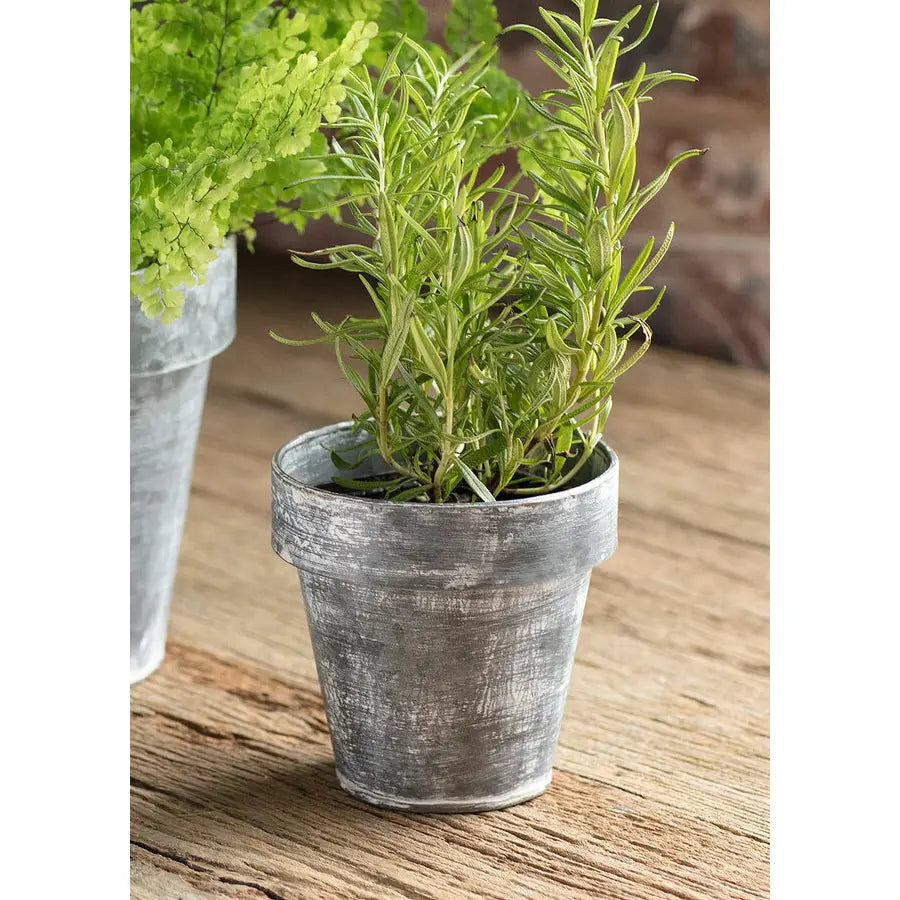 Zinc Flower Pot VagabondVintage