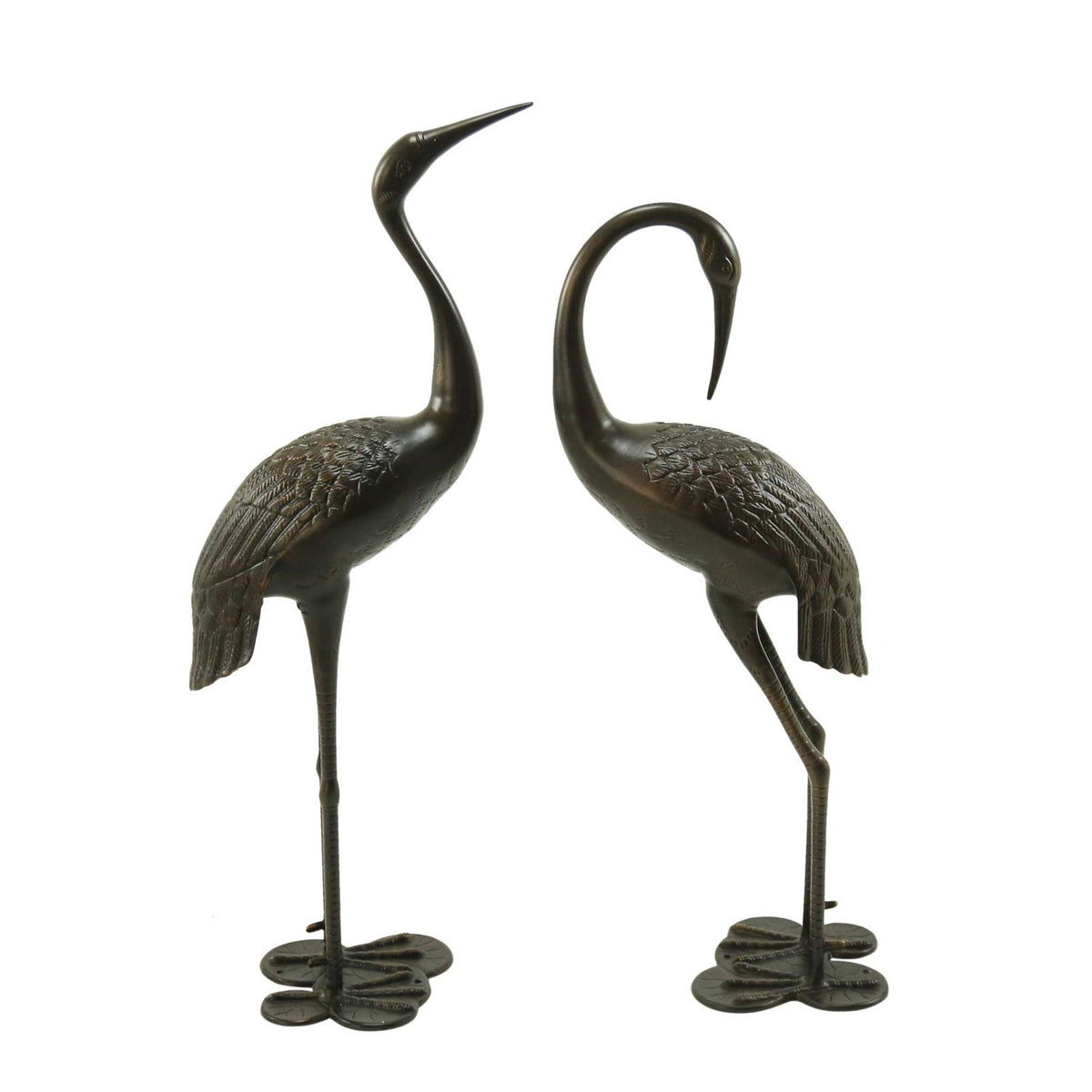 Bird Animals
