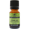 Cedar Leaf Essential Oil