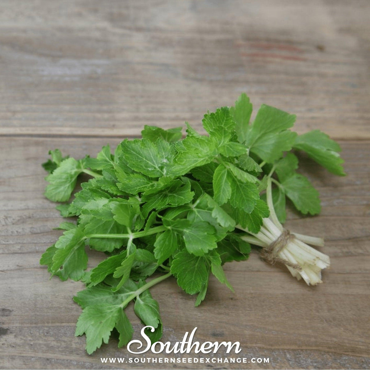 Cutting Celery – 200 Seeds