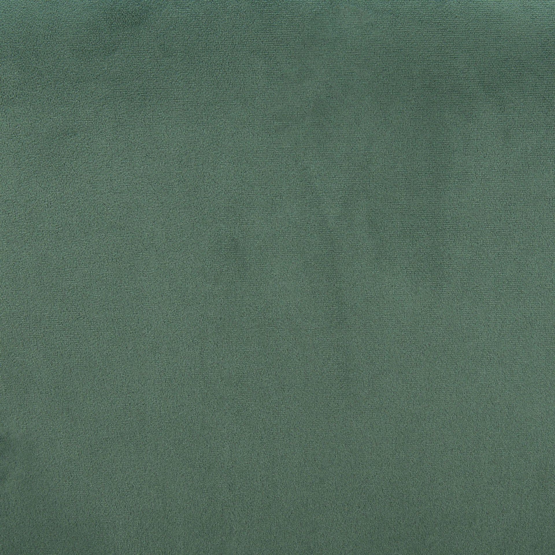 Menlo Dining Chair (Set of 2) Green