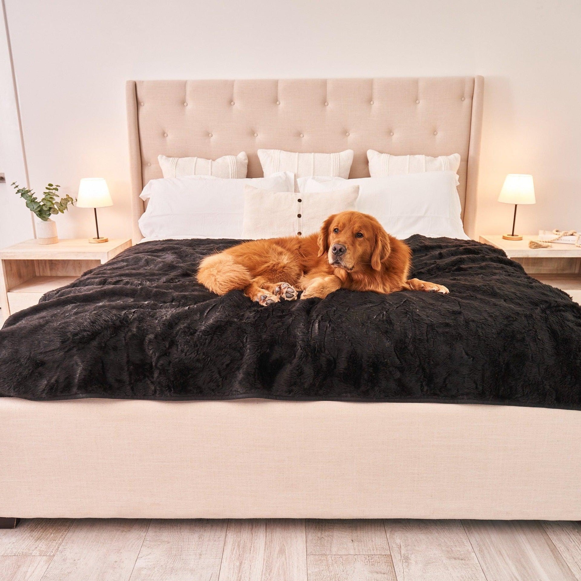 PupProtector™ Summer Short Fur Waterproof Throw Blanket - Midnight Black