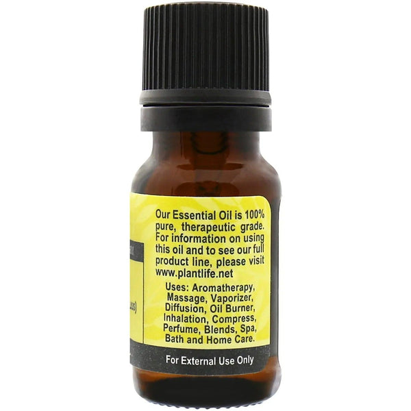 Citronella Essential Oil - Gifts for You 'n Me