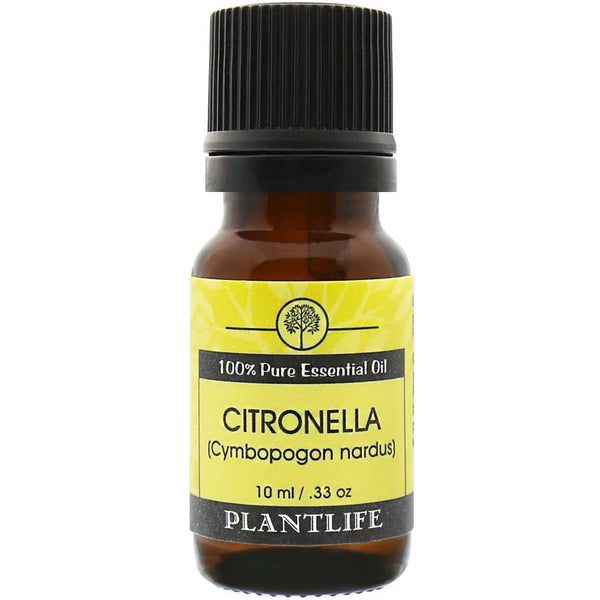 Citronella Essential Oil - Gifts for You 'n Me