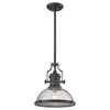 Chadwick 13'' Wide 1-Light Pendant - Oiled Bronze with Clear