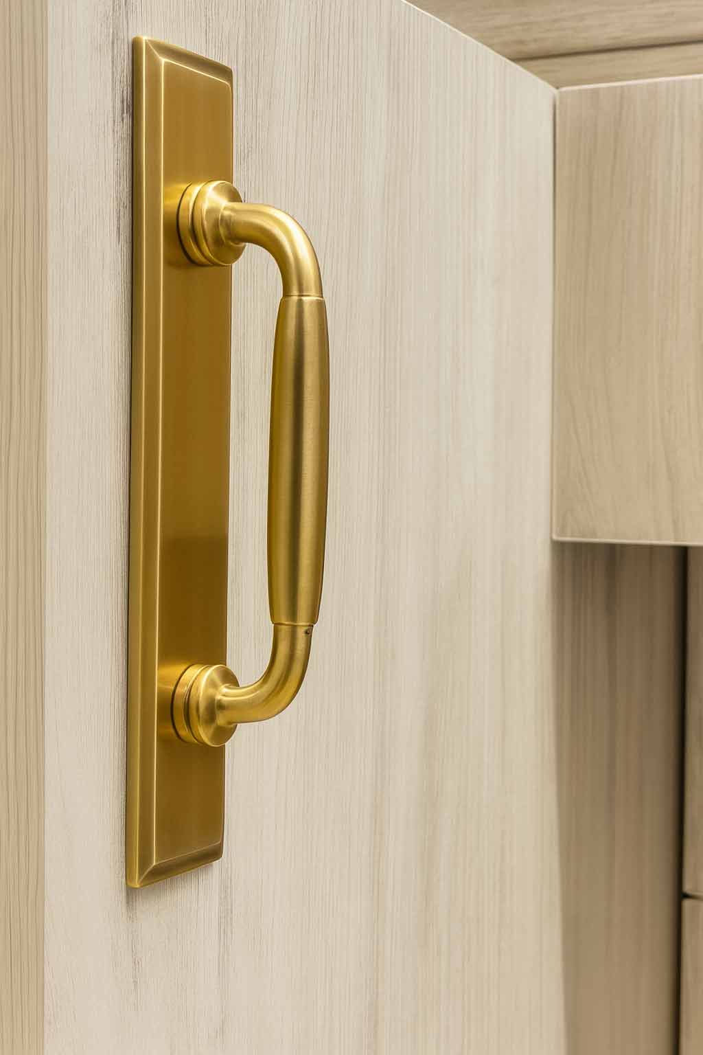 Classic Cabinet Pulls with Backplate - Antique Brass