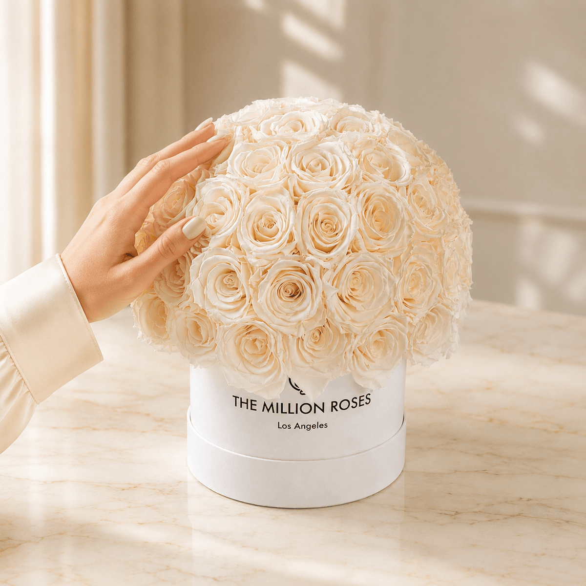Classic White Superdome Box | White Roses