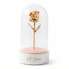 Signature Clear 7” Rose Dome