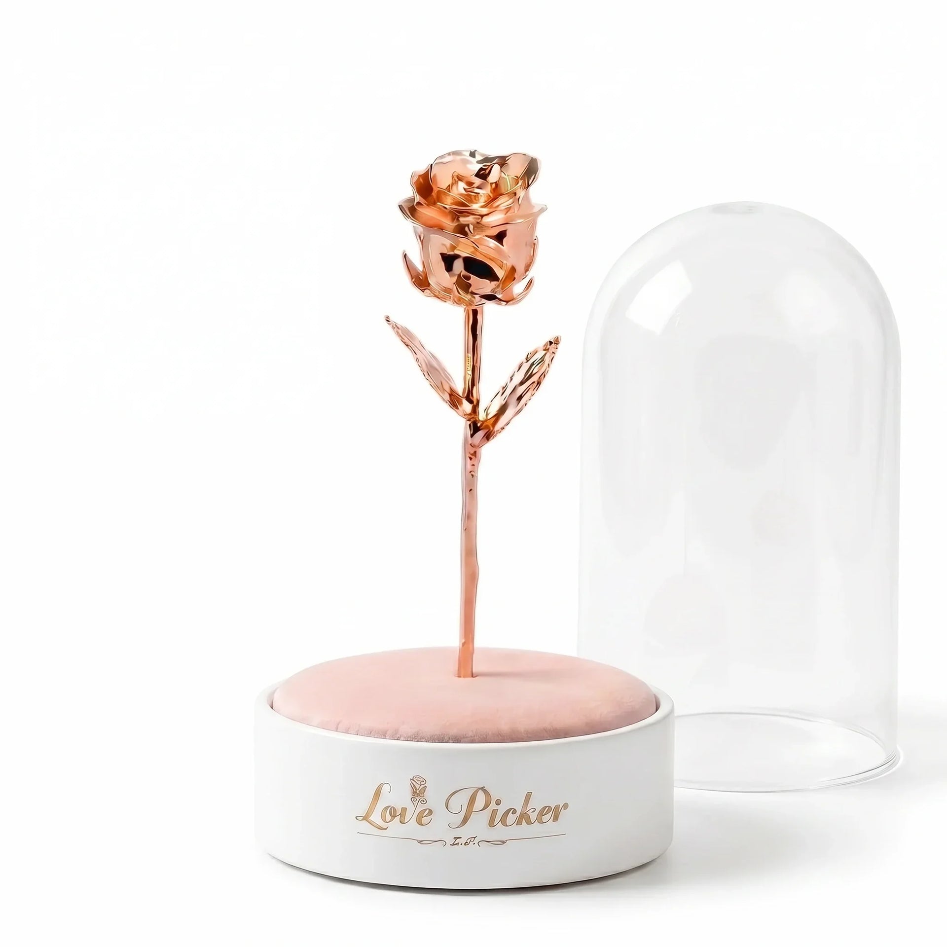 Signature Clear 7” Rose Dome
