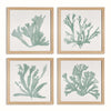 Coastal Framed Coral Silhouette Prints in Natural Wood Frames (Set of 4)