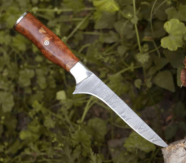 Concord Damascus Fillet Knife with Exotic Olive wood Handle - Gifts for You 'n Me