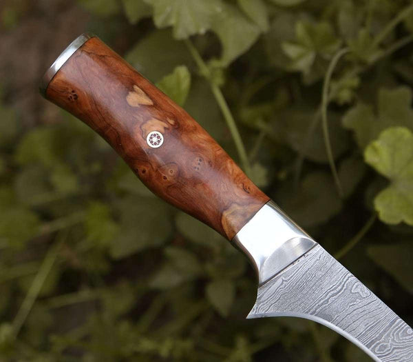 Concord Damascus Fillet Knife with Exotic Olive wood Handle - Gifts for You 'n Me