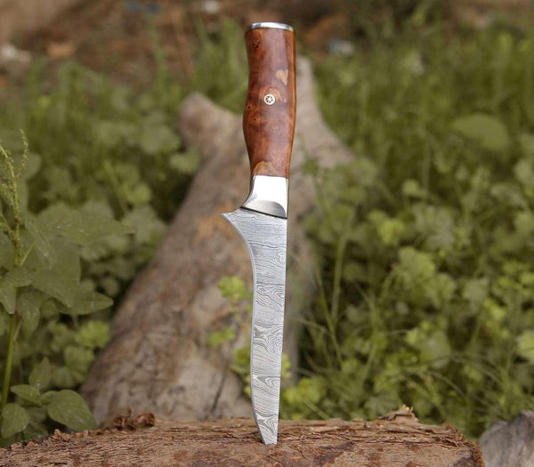 Concord Damascus Fillet Knife with Exotic Olive wood Handle - Gifts for You 'n Me