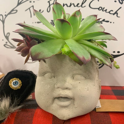 Concrete Head Planter w/ Plant