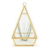 Conservatory Frosted Brass Ornament - Large & Small