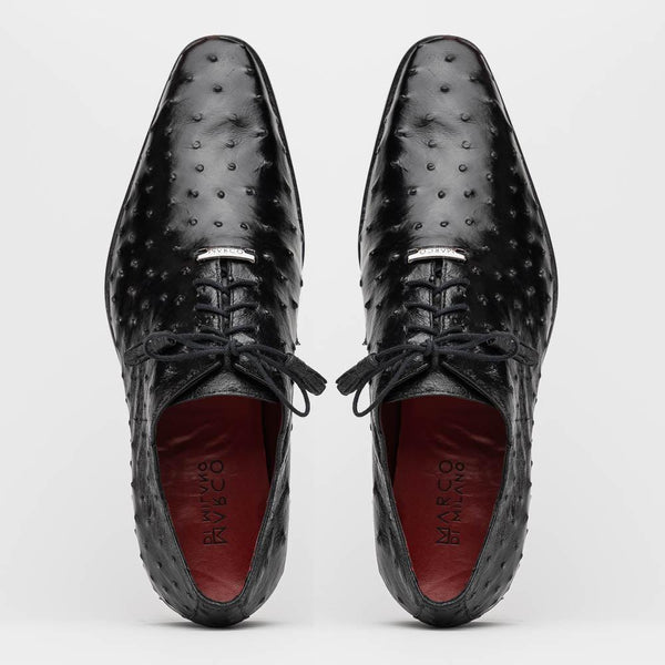 Criss Black