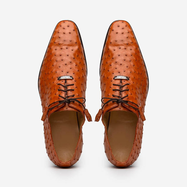 Criss  Brandy