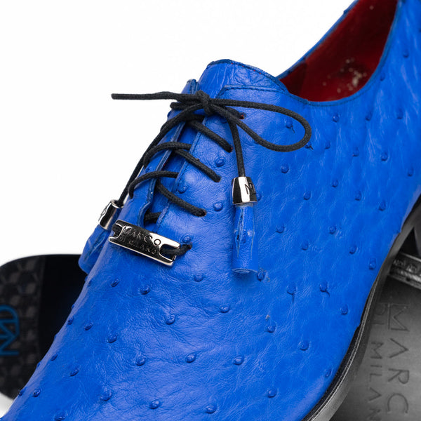 Criss Electric Blue