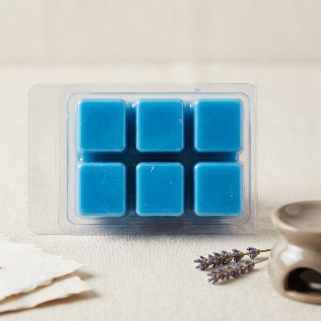 Clamshell Wax Melts – Best-Selling Scents | Signature Collection