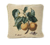 DaDa Bedding Apricot Fruit Elegant Accent Throw Pillow Cushion Cover - 1-Piece - 18