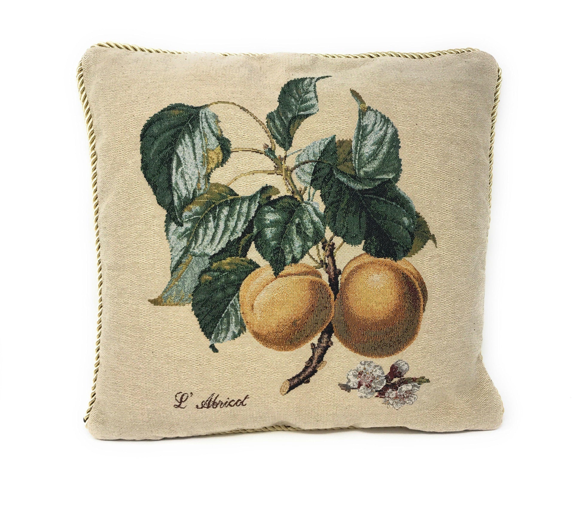 DaDa Bedding Apricot Fruit Elegant Accent Throw Pillow Cushion Cover - 1-Piece - 18