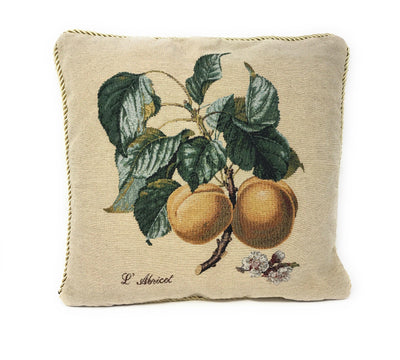DaDa Bedding Apricot Fruit Elegant Accent Throw Pillow Cushion Cover - 1-Piece - 18