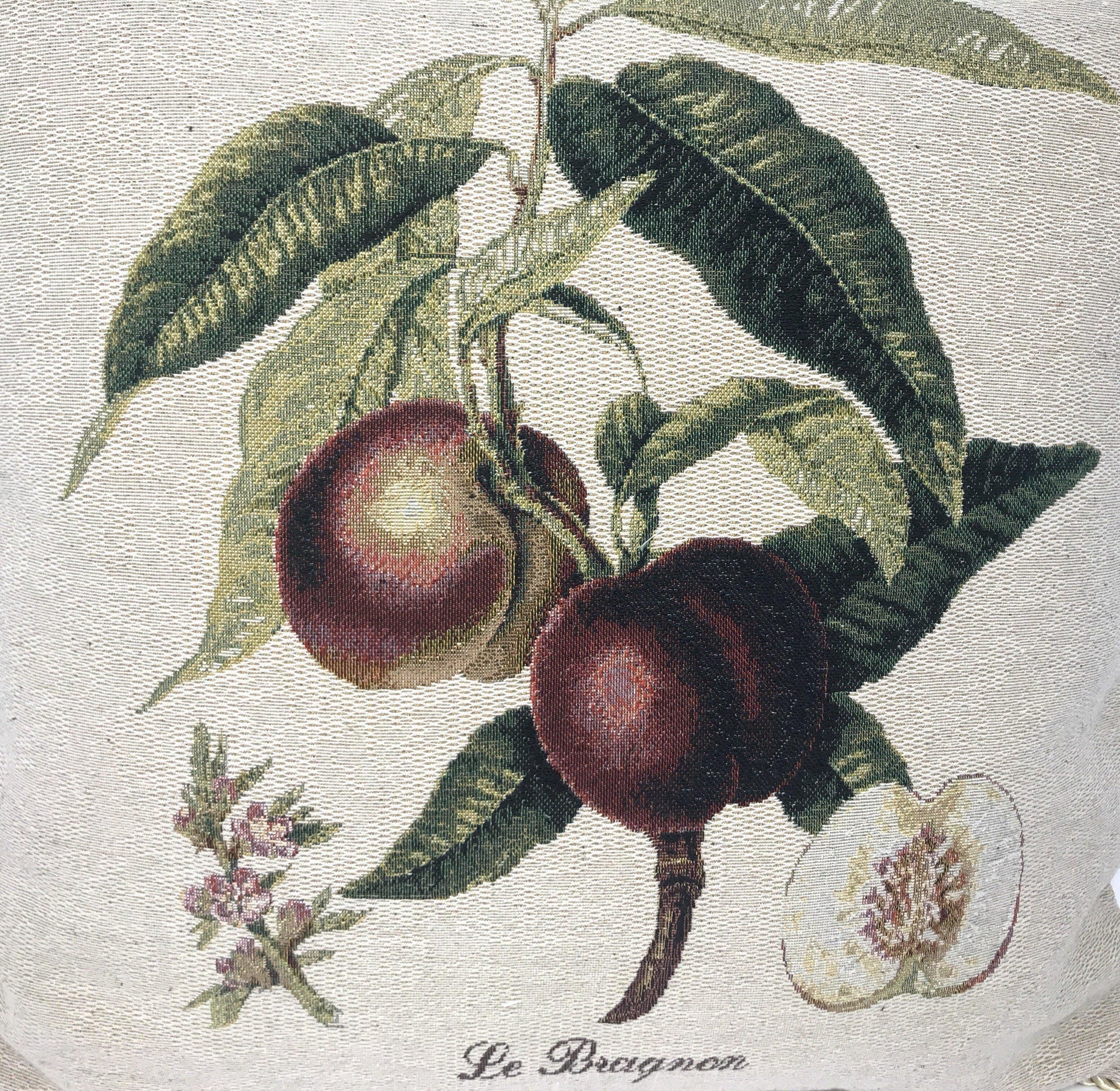 DaDa Bedding Nectarine Fruits Elegant Accent Throw Pillow Cushion Cover - 18
