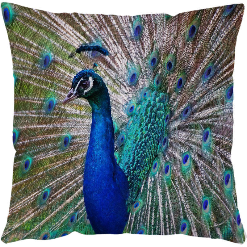 Sea Turtle Print Cushion Cases
