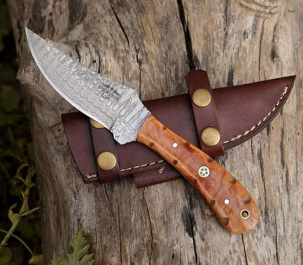 Cutlass Damascus Knife with Exotic Olive Wood Handle - Gifts for You 'n Me