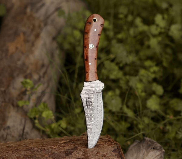 Cutlass Damascus Knife with Exotic Olive Wood Handle - Gifts for You 'n Me
