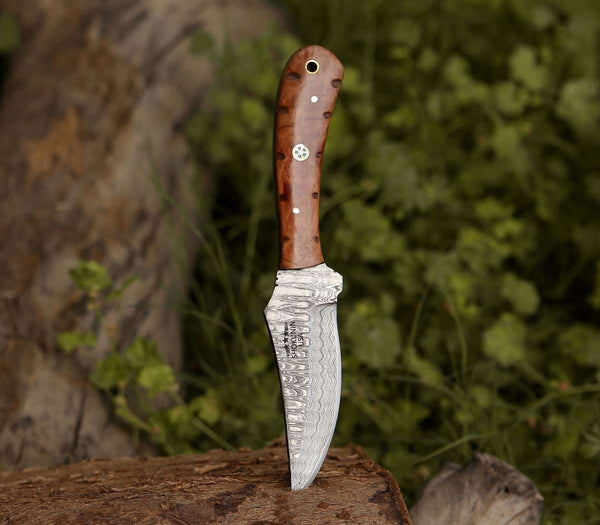 Cutlass Damascus Knife with Exotic Olive Wood Handle