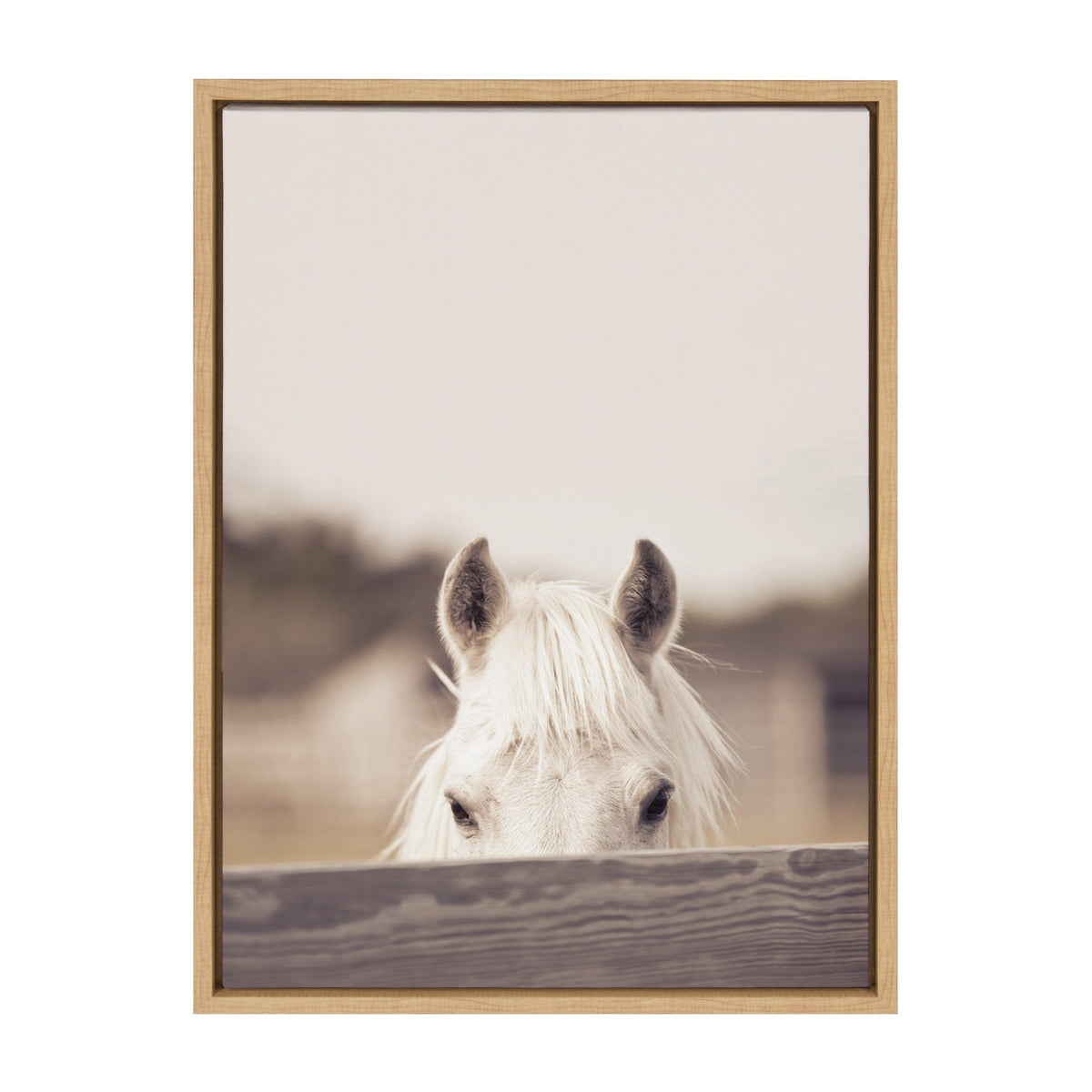 Sylvie Equine Framed Canvas by Robert Cadloff of Bomobob
