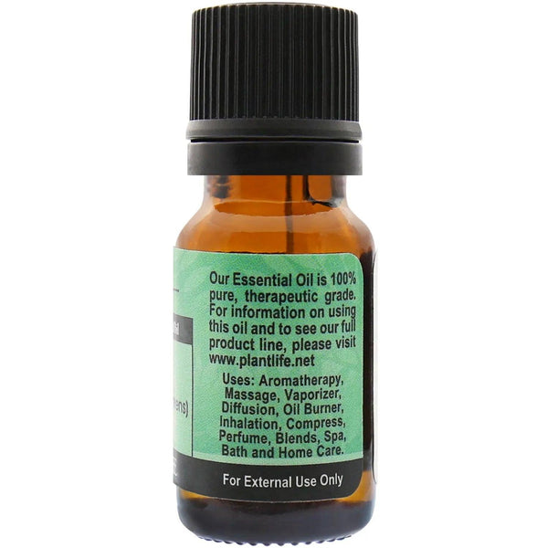 Cypress Essential Oil - Gifts for You 'n Me