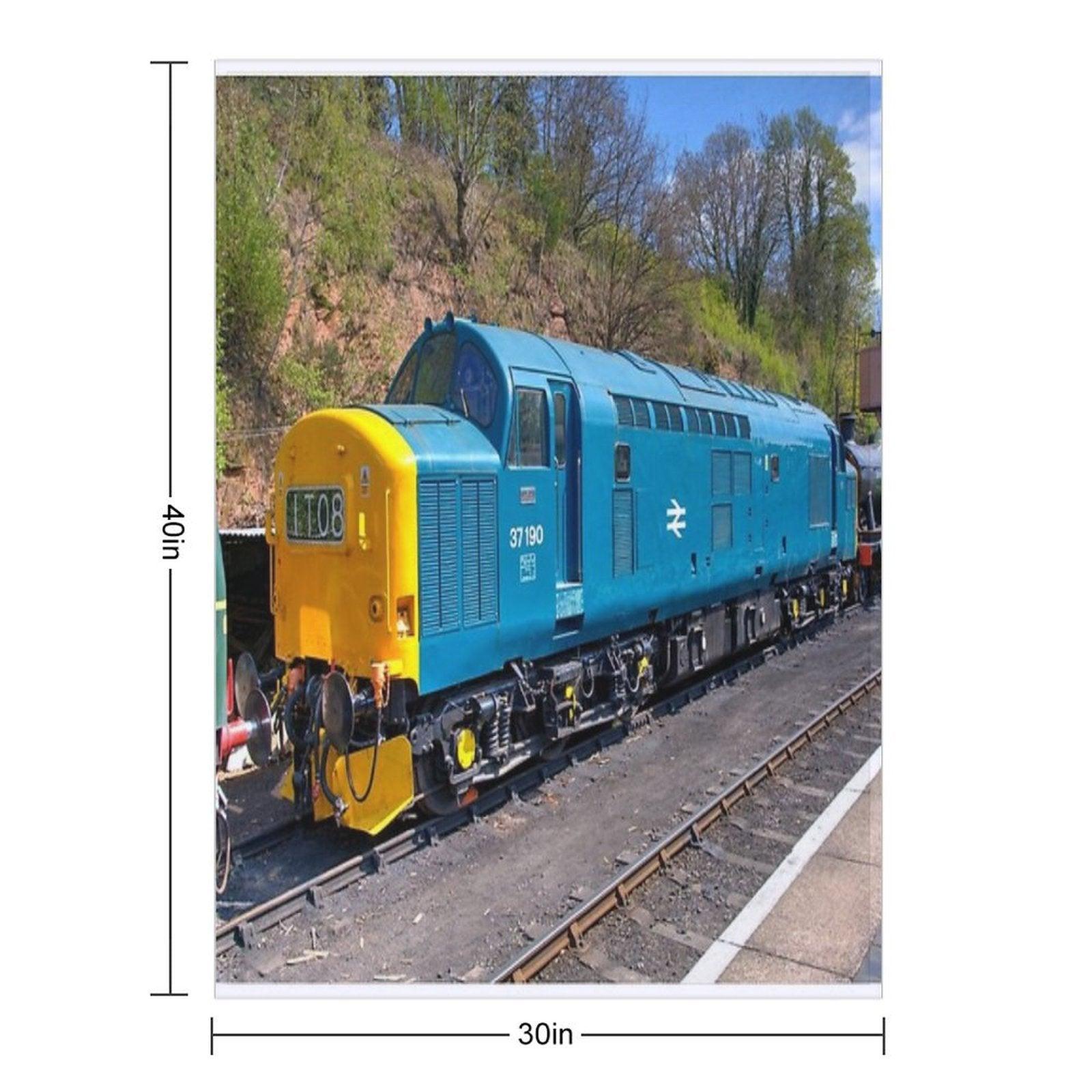 Class 37 at Bewdley Throw Blanket