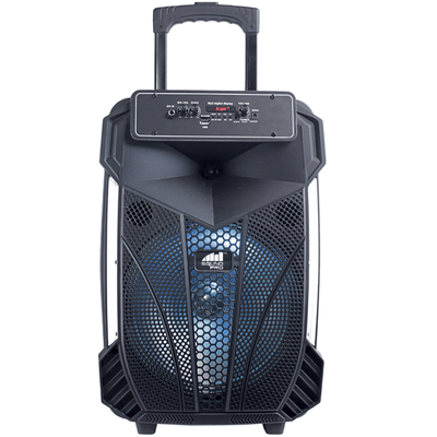 Naxa Portable 12
