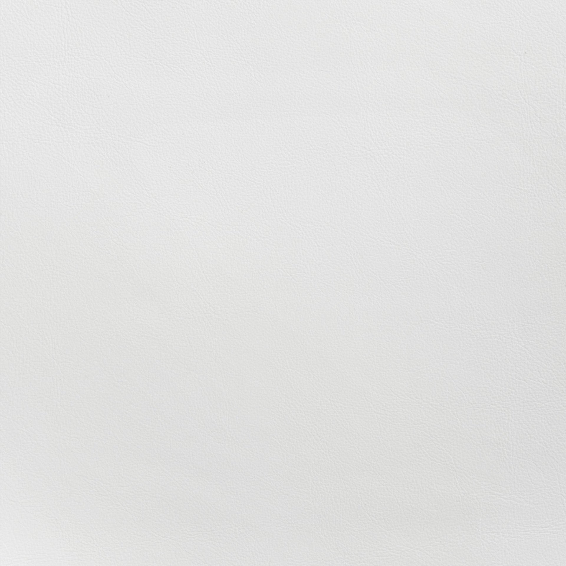 Desi Dining Chair (Set of 2) White