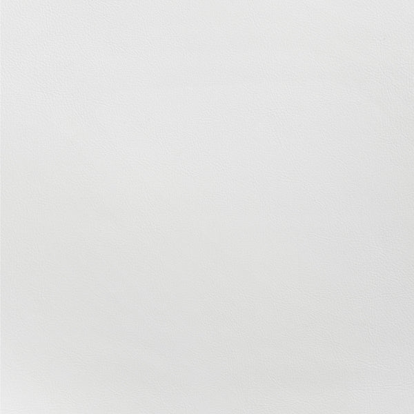 Desi Dining Chair (Set of 2) White