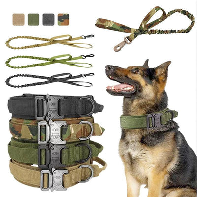 Tactical Dog Collar and Leash Set for Outdoor Adventures