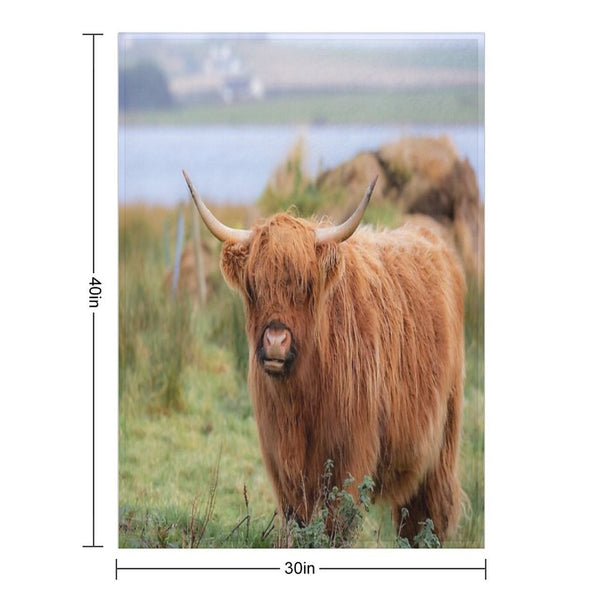 Long Haired Highland Cattle - Highland Cow, Highlander, Heilan Coo - Thurso, The Highlands, Scotland All-season Throw Blanket