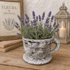 Cement Rustic Tea Cup Planter