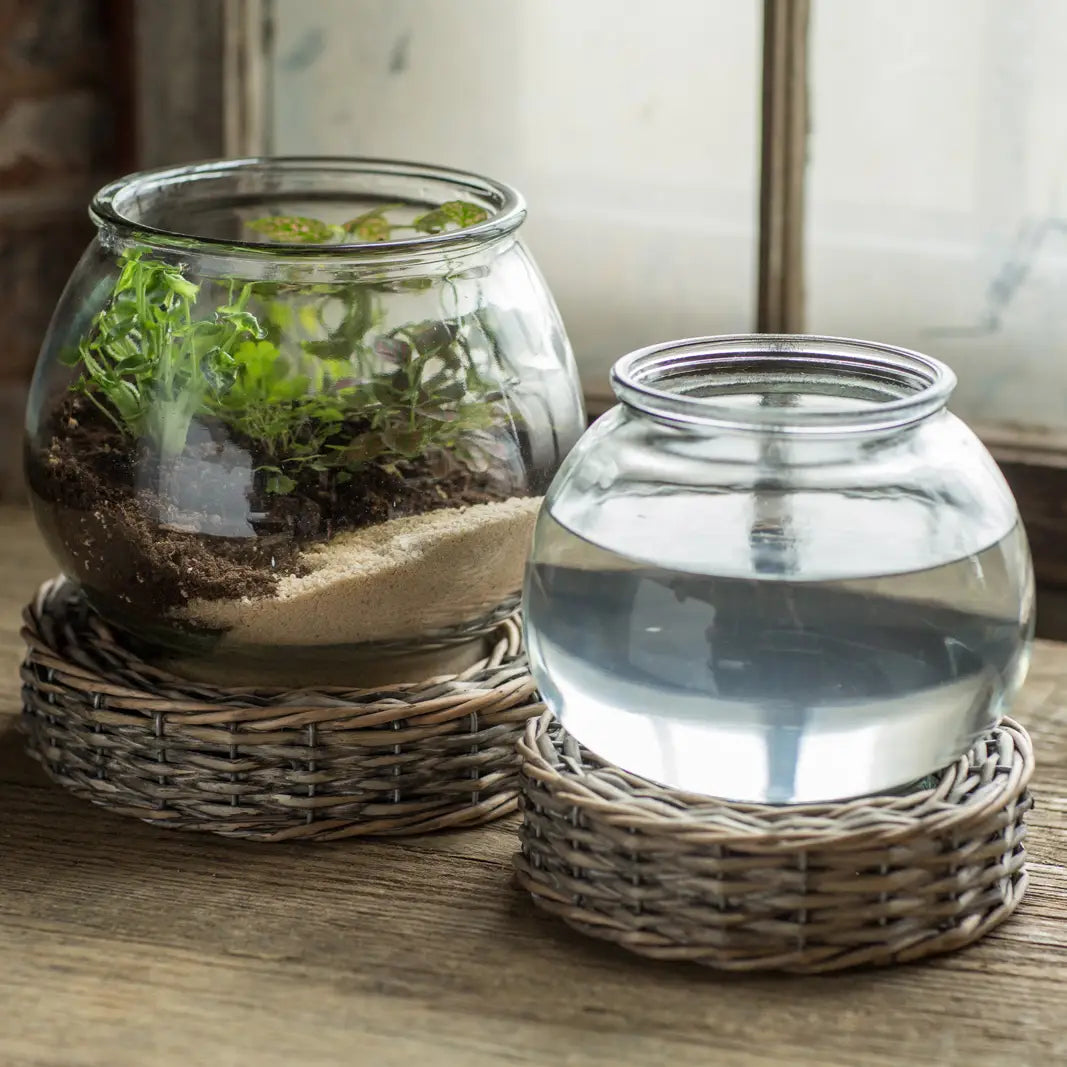 Glass and Wicker Terrarium - Large