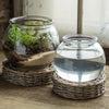 Glass and Wicker Terrarium - Large