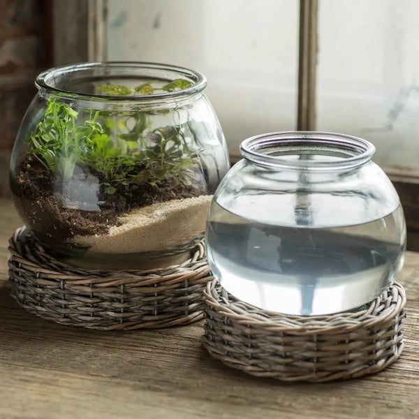 Glass and Wicker Terrarium - Large