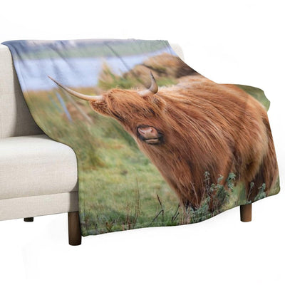 Long Haired Highland Cattle - Highland Cow, Highlander, Heilan Coo - Thurso, The Highlands, Scotland All-season Throw Blanket