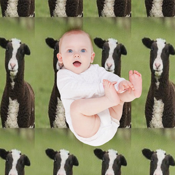 Zwartbles Lamb Anti-pilling Throw Blanket