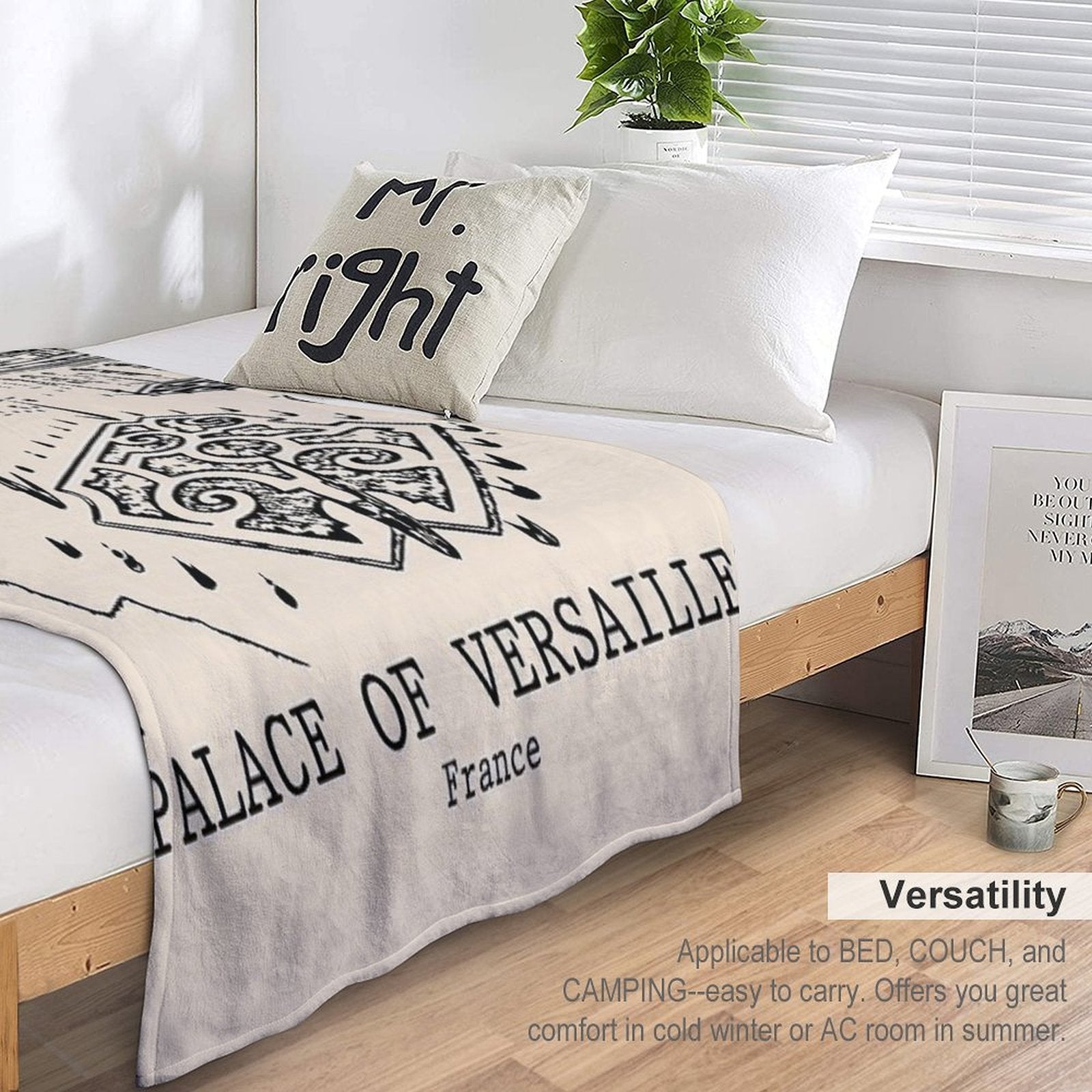 Palace of Versailles - France Shrink-resistant Throw Blanket