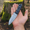 Damascus Hunting Knife Bull Horn Handle Compact