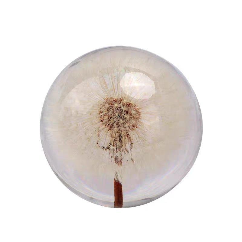 Dandelion